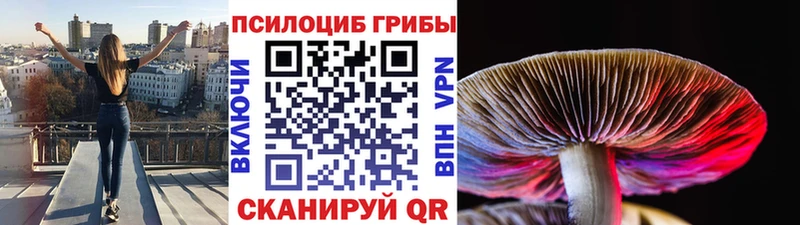 ссылка на мегу зеркало  Коркино  Галлюциногенные грибы ЛСД  хочу  